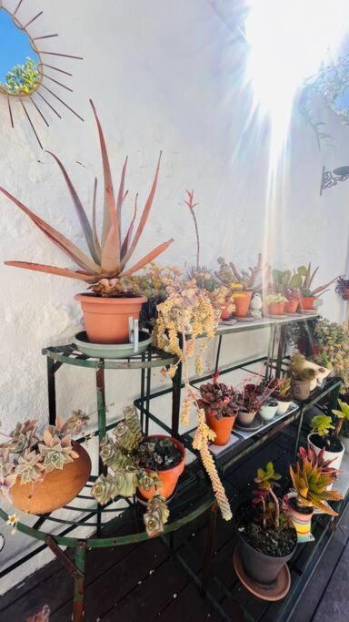 Le Jardin Du Roucas Apartment Marseille Bagian luar foto