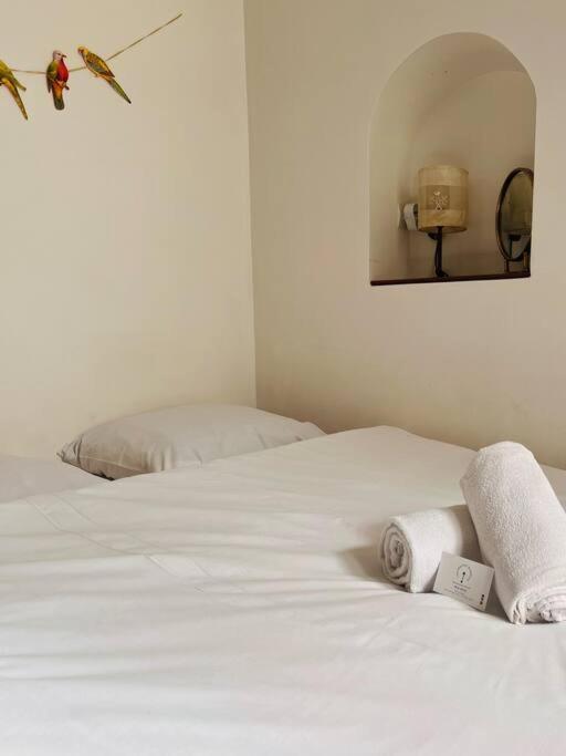 Le Jardin Du Roucas Apartment Marseille Bagian luar foto